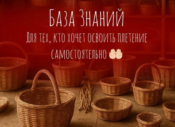 photo_5192894763047260169_y